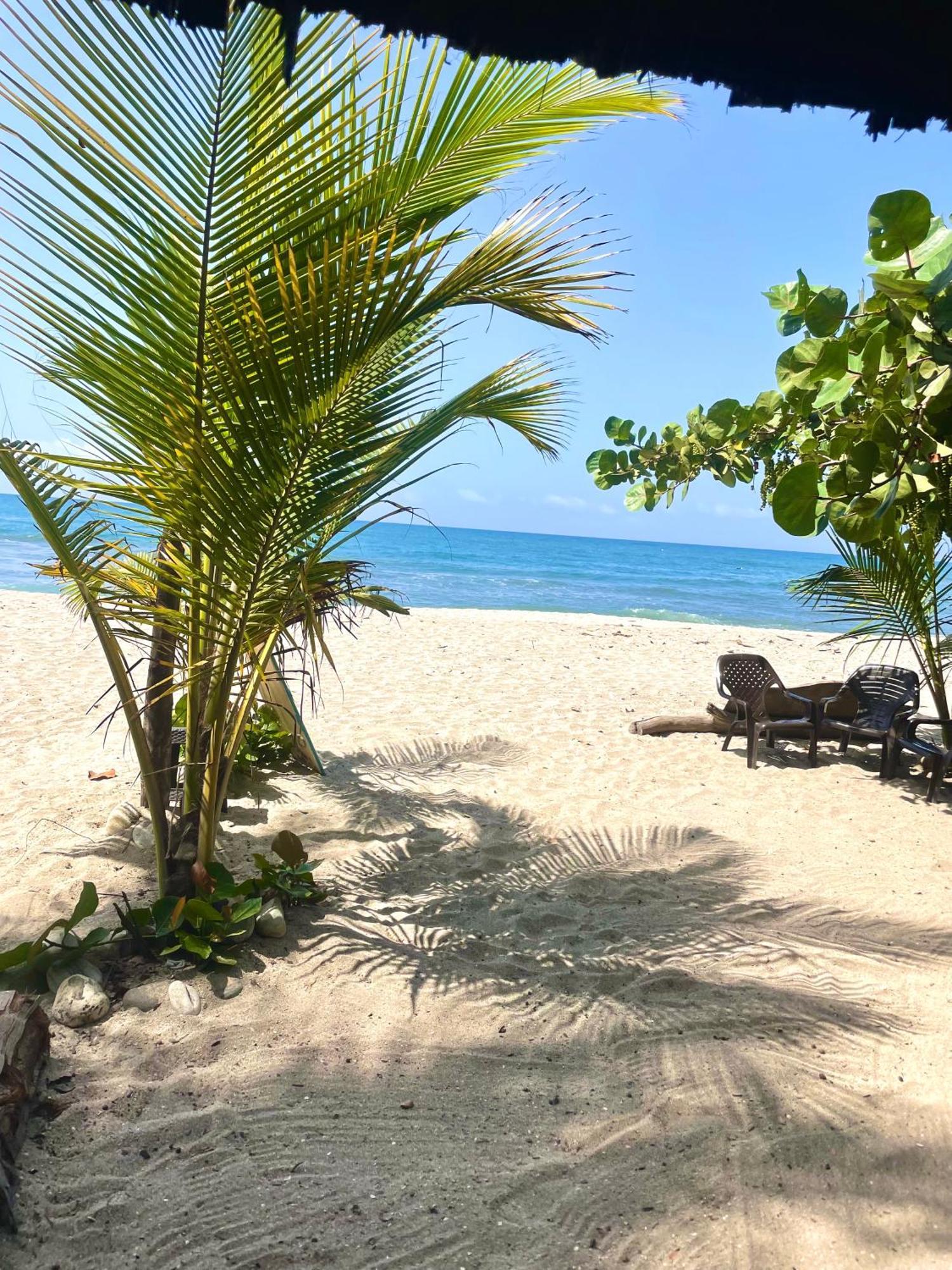 Hotel Chill And Surf Mendihuaca Guachaca Exterior foto